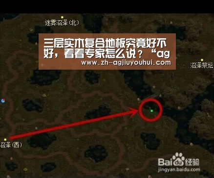 ag九游会